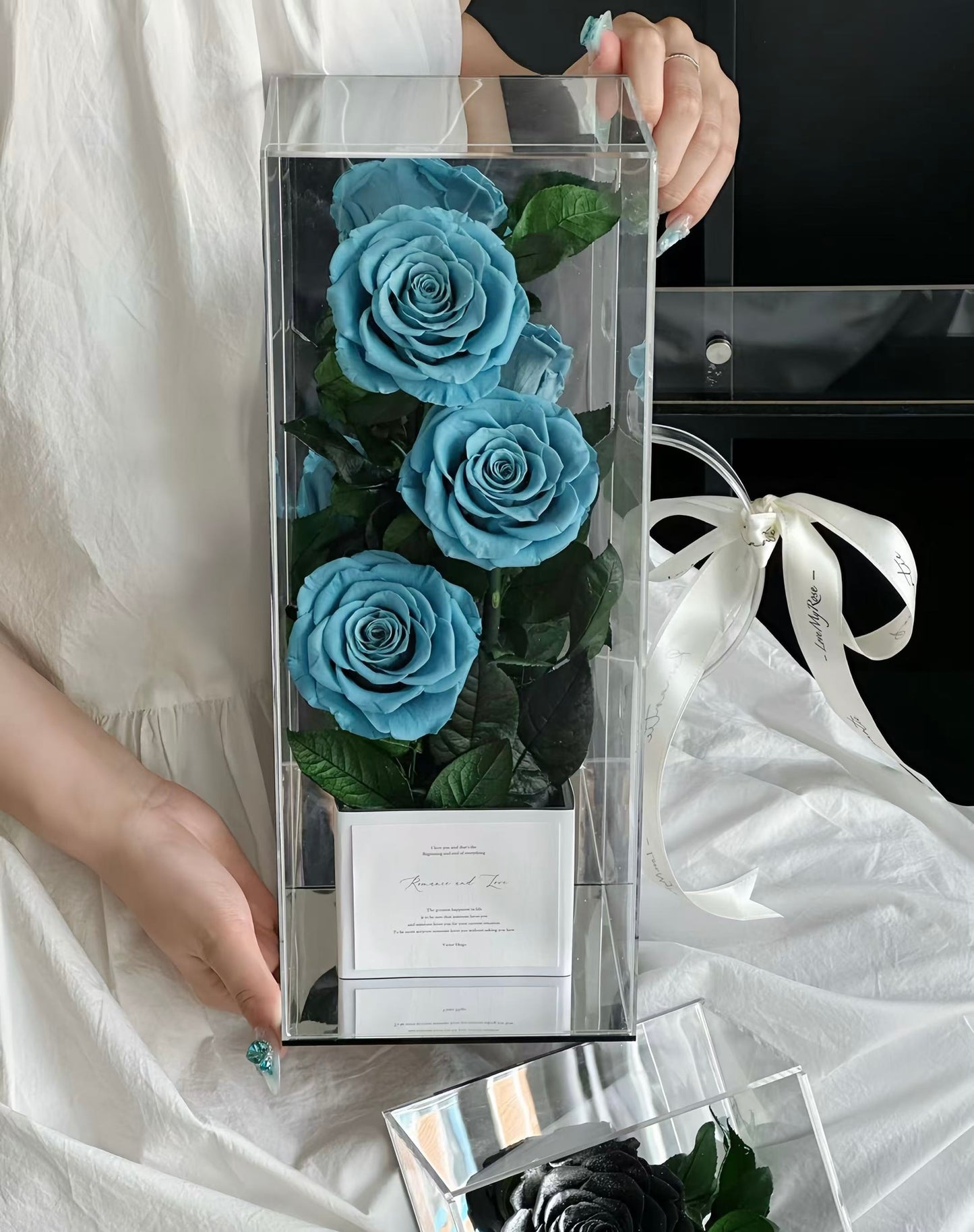 Preserved Ecuador Roses Gift Box